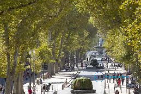 image aix.jpg